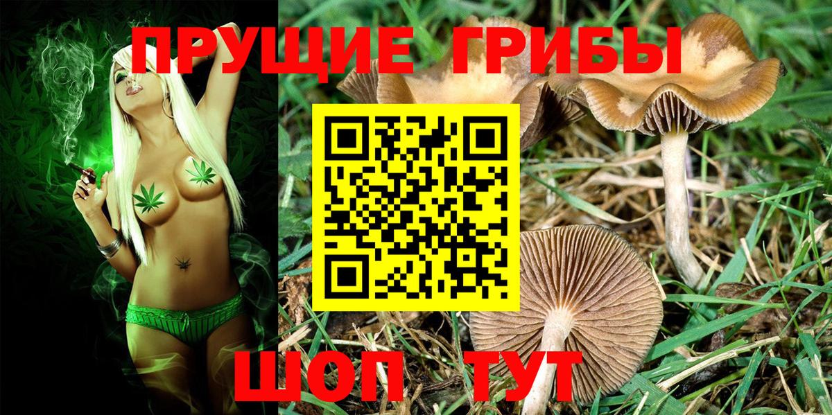 Галлюциногенные грибы Magic Shrooms Усть-Илимск