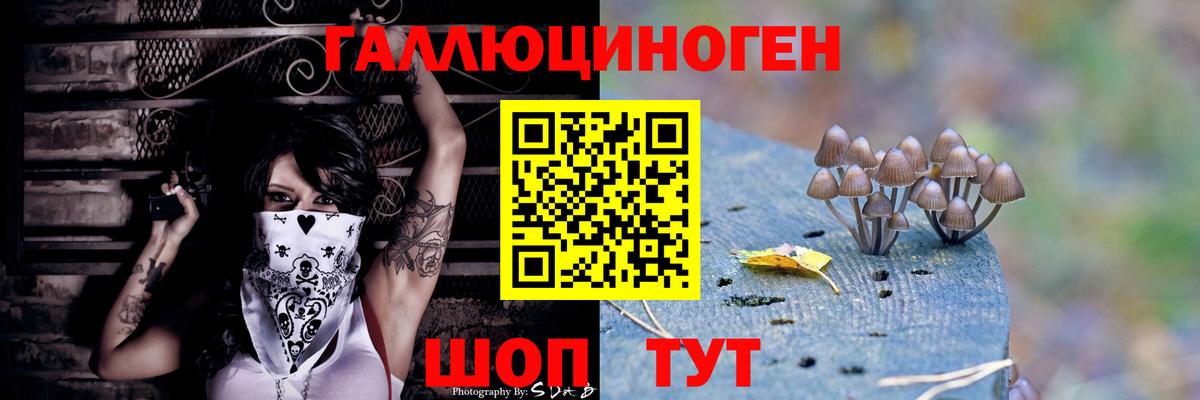 Усть-Илимск  хочу   Вход с VPN  Галлюциногенные грибы мицелий  Галлюциногенные грибы Psilocybine cubensis 